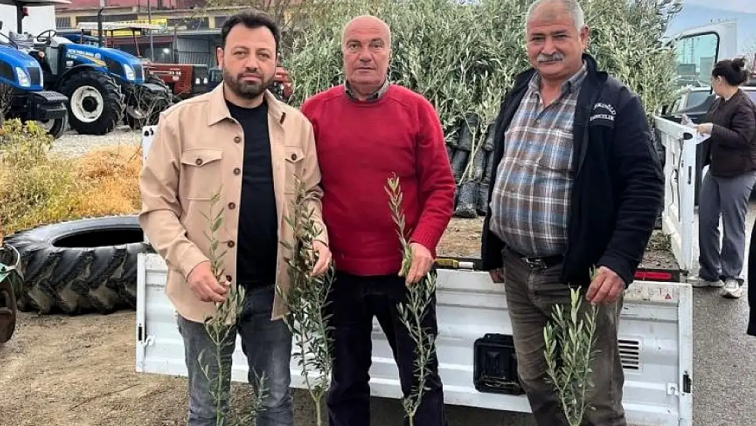 Bayındır Ziraat Odası’ndan çiftçilere zeytin fidanı dağıtımı