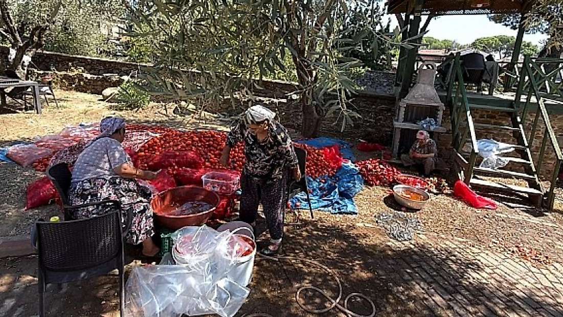 Birgi Bahçe’den geleneksel yöntemlerle doğal salça