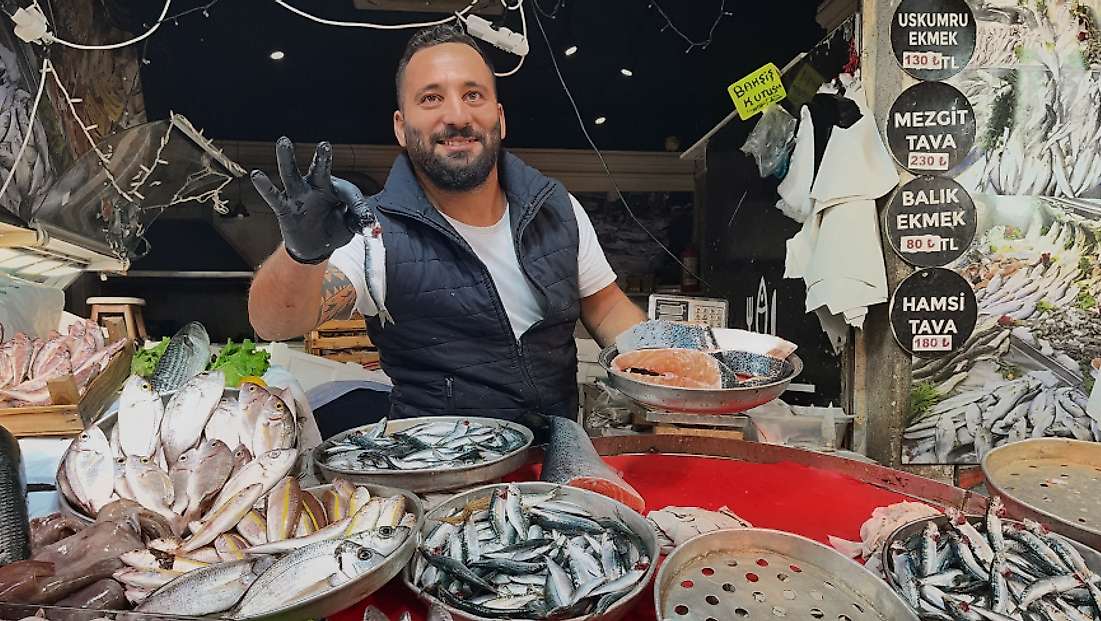 İzmir tezgahlarında palamut bereketi: Tanesi 100 lira