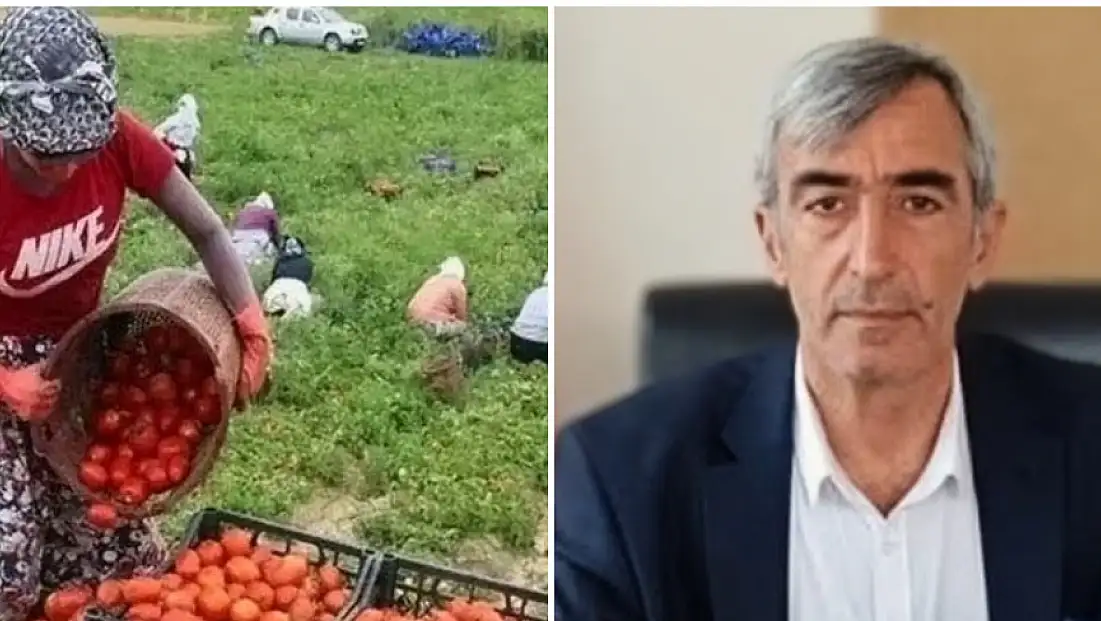 Tarım-Sen yevmiyeye 200 lira zam istedi
