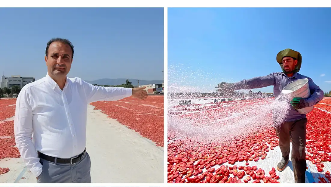 Torbalı'nın kuru domatesi dünya sofralarında