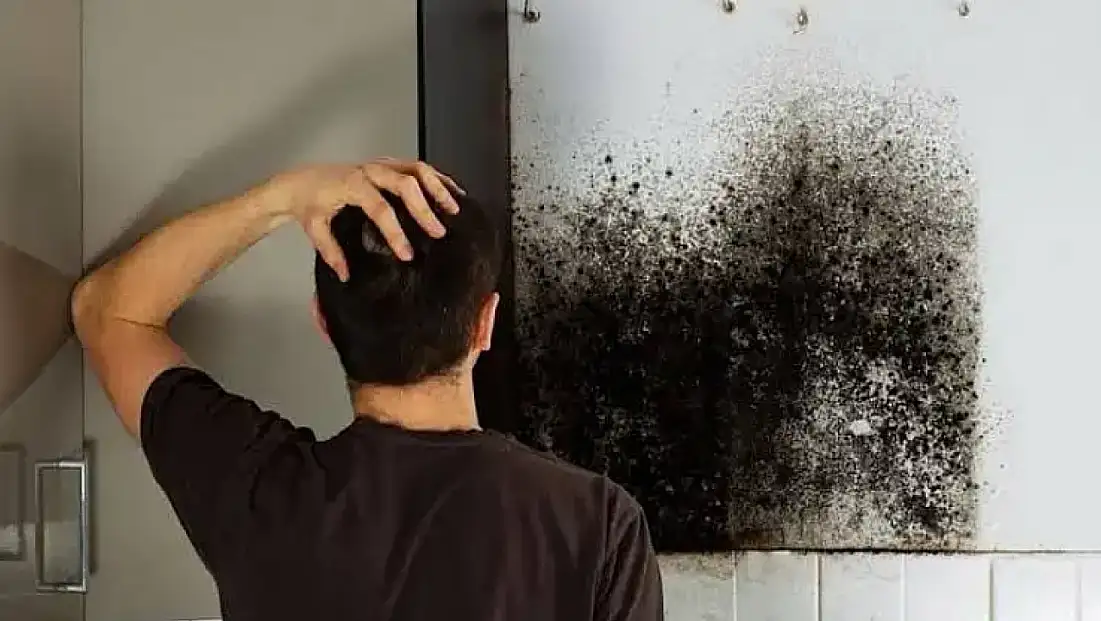 Tarım bölgelerinde rutubet ve küf tehlikesi: Uzmanlardan sağlık uyarısı