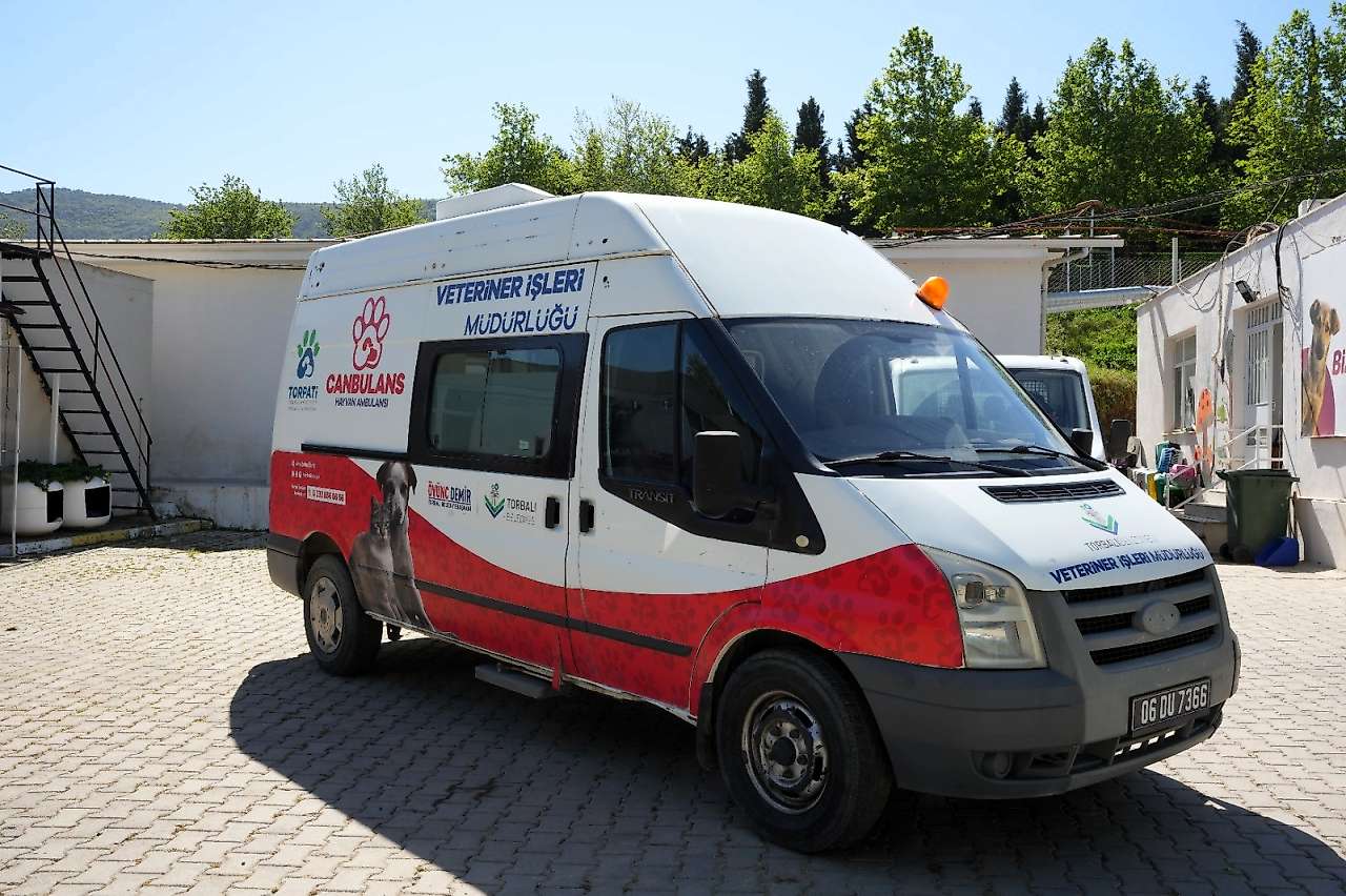 Torbalı'da can dostlar için çalışmalar hız kazandı
