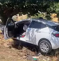 Ağaca çarpan otomobildeki 4 kişi ağır yaralandı