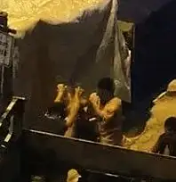 Ağacı söken pazarcıların tezgâhı kapatıldı