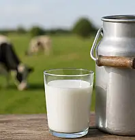 Çiğ süt tavsiye fiyatı 24,3 liraya yükseldi