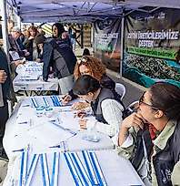 İzmir'de 391 zeytin üreticisine destek