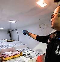 İzmir'de balık bereketi: Bir ayda 9 bin ton balık satıldı