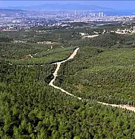 İzmir'de ormanlara giriş yasağı başladı