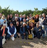 Satsuma mandalinanın ihracat yolculuğu başladı