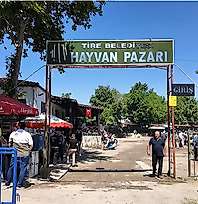 Tire Canlı Hayvan Pazarı şap hastalığı nedeniyle kapatıldı