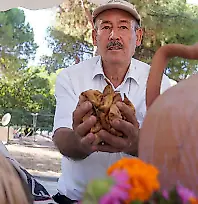 Tire'de İncir ve Ceviz Festivali başlıyor