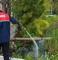 Torbalı'da sivrisinekle mücadele 12 ay sürüyor