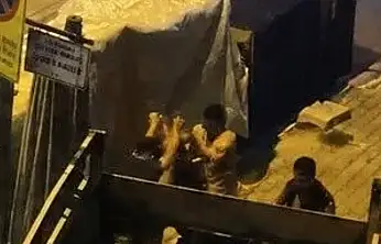 Ağacı söken pazarcıların tezgâhı kapatıldı