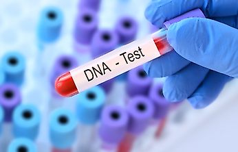 Hamid Yorulmaz'ın babalık DNA testi sonucu açıklandı