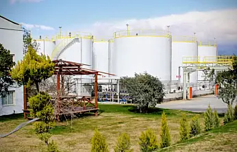 İhracat şampiyonu Verde Yağ listeden düştü!