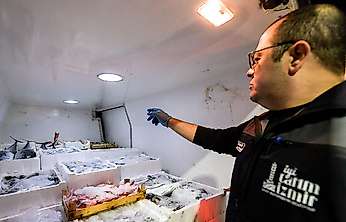 İzmir'de balık bereketi: Bir ayda 9 bin ton balık satıldı