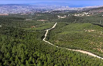 İzmir'de ormanlara giriş yasağı başladı