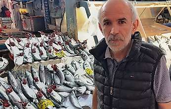 İzmir tezgahlarında palamut bereketi: Tanesi 100 lira