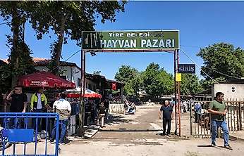 Tire Canlı Hayvan Pazarı şap hastalığı nedeniyle kapatıldı