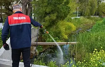 Torbalı'da sivrisinekle mücadele 12 ay sürüyor