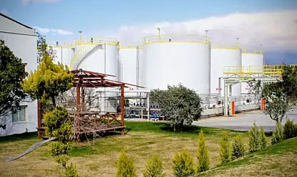 İhracat şampiyonu Verde Yağ listeden düştü!