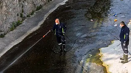 İzmir'de sinek alarmı: Zararsız türler! İlaçlama sürüyor