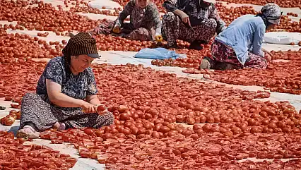 Büyükşehir Torbalı'da kuru domates işçilerini yalnız bırakmadı
