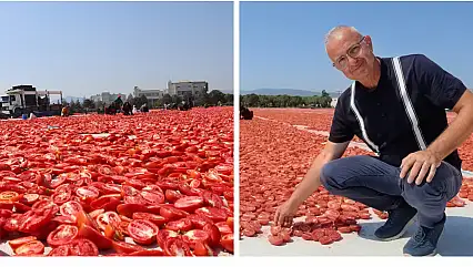 Torbalı'nın kuru domatesi dünya sofralarında