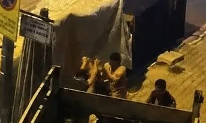 Ağacı söken pazarcıların tezgâhı kapatıldı