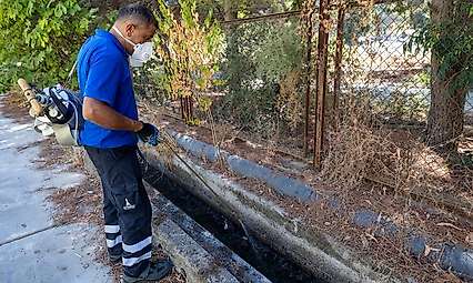 İzmir'de sivrisinek uyarısı: Yazlıkları kapatırken bu alanlara dikkat