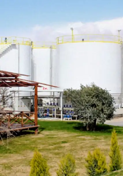 İhracat şampiyonu Verde Yağ listeden düştü!