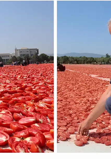 Torbalı'nın kuru domatesi dünya sofralarında