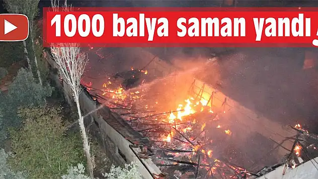 1000 BALYA SAMAN YANDI  