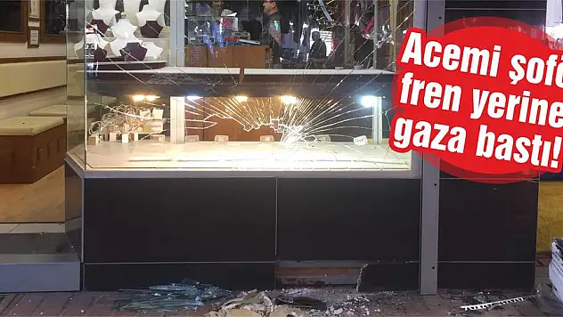 Dükkanın içine girdi!