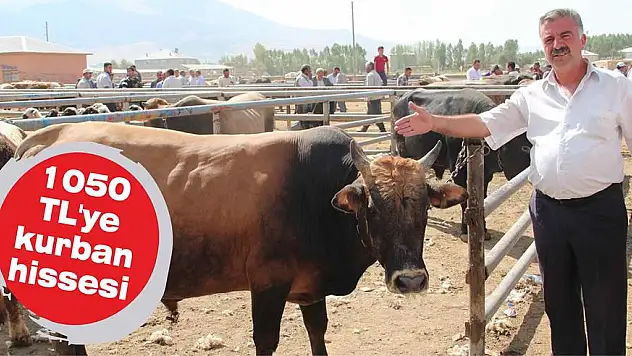 1050 TL’ye kurban hissesi