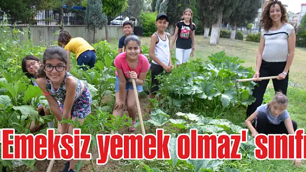 3 yıldır üretim yapıyorlar