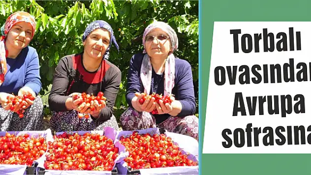 16 liraya yurt dışına