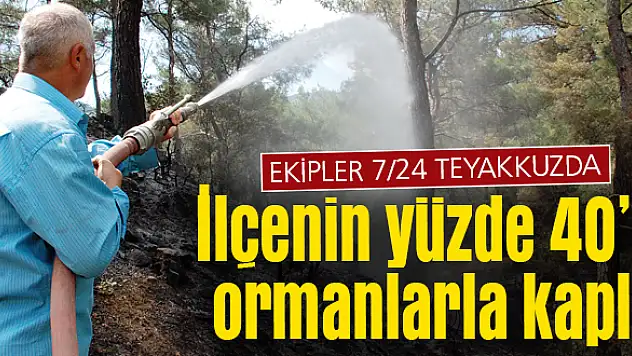 16 milyon 500 ağacımız var