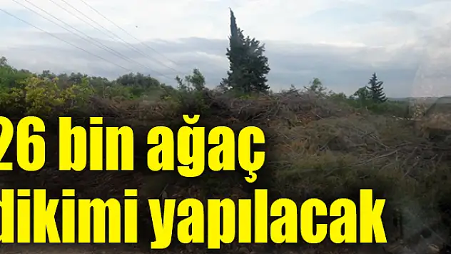 160 dönüm ağaçlandırılacak