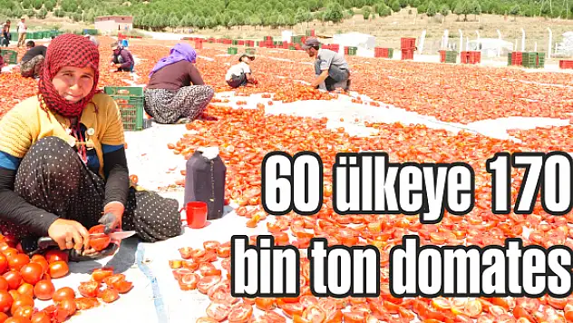 170 bin ton ihraç edildi