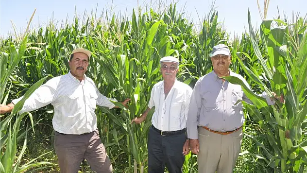 2 milyonluk mağduriyet!