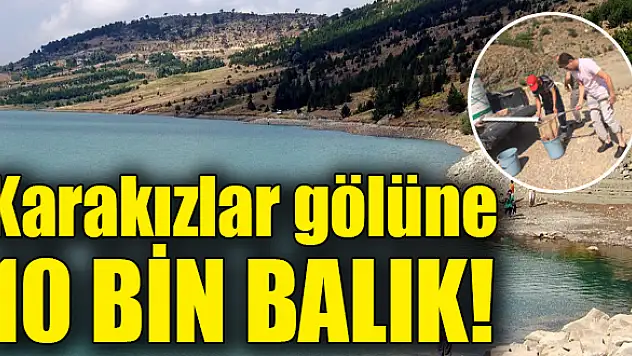 2 Yıl Avlanmak Yasak