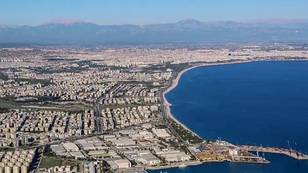 2019 rekorla başladı! Artış sürecek