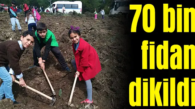 2019'da dikilen fidan sayısı netleşti