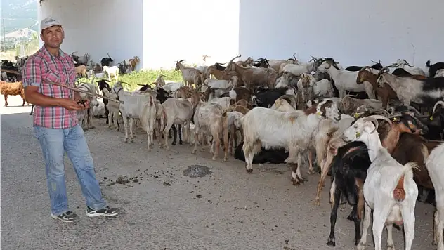 3 gündür köprü altında