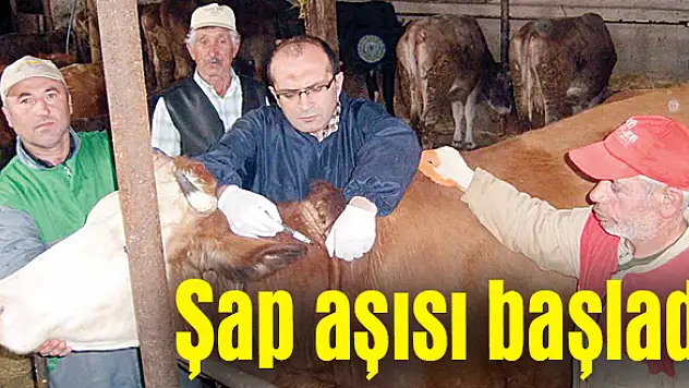 30 bin aşısı vurulacak