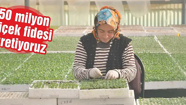 50 milyon çiçek fidesi üretiyoruz