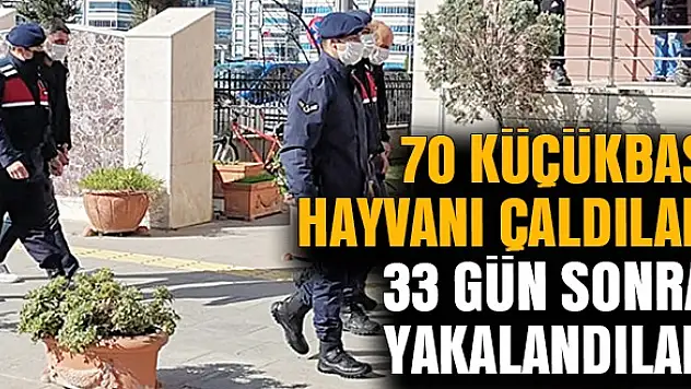 70 küçükbaş hayvanı çaldılar, 33 gün sonra yakalandılar