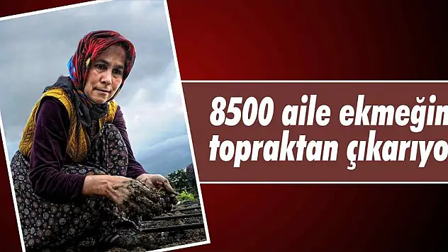 8500 aile ekmeğini topraktan çıkarıyor
